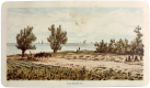 Oud Naarden 08